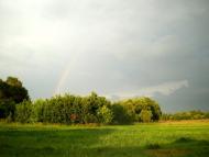 Веснянка з panoramio.com