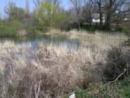 Зуя з panoramio.com