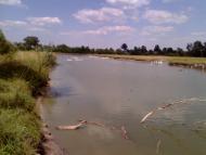 Гармащина з panoramio.com