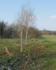 Линея з panoramio.com