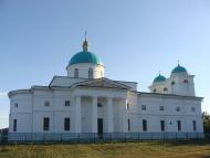 Ромашки з panoramio.com