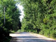 Нетреба з panoramio.com