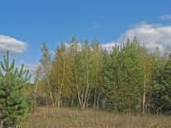 Жирки з panoramio.com