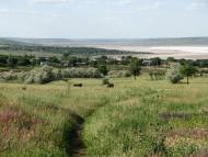 Стара Еметівка з panoramio.com