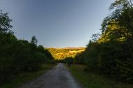 Буковець з panoramio.com