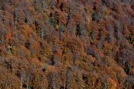 Кічерний з panoramio.com - Кичерный