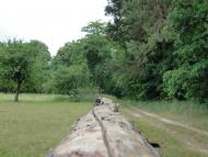 Клепачів з panoramio.com