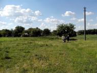 Єлизаветівка з panoramio.com