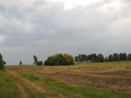 Дем'янці з panoramio.com - Demyantsi