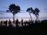 Майданецьке з panoramio.com - Maydanetske