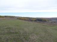 Купка з panoramio.com