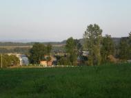 Дністрик-Дубовий з panoramio.com