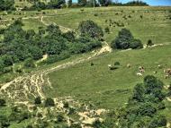 Латірка з panoramio.com