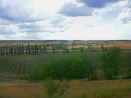 Стальне з panoramio.com