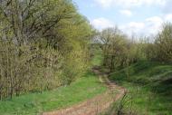 Байрак з panoramio.com