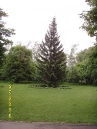 Сонячне з panoramio.com