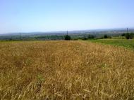 Будилів з panoramio.com