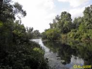 Єлизаветівка з panoramio.com - Yelyzavetivka