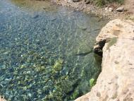 Білозерка з panoramio.com