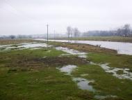 Лошнів з panoramio.com