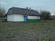 Комарове з panoramio.com