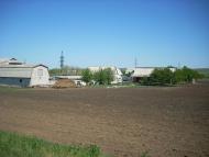 Медвежанка з panoramio.com