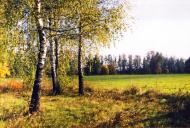 Вокзал-Городня з panoramio.com