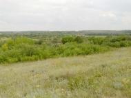 Красний Партизан з panoramio.com