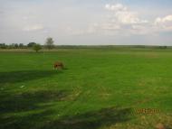 Обмачів з panoramio.com