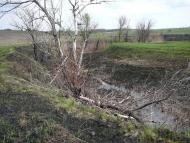 Красний Партизан з panoramio.com