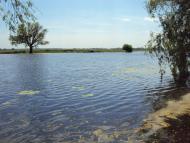 Карпилівка з panoramio.com