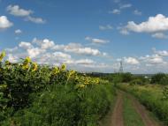 Піщанка з panoramio.com