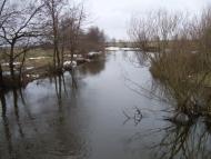 Сосниця з panoramio.com