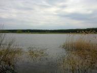 Линея з panoramio.com