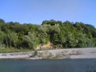 Сокіл з panoramio.com