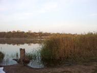 Прилиманське з panoramio.com