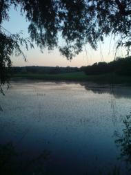 Квітки з panoramio.com