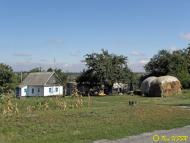 Кринички з panoramio.com - Кринички