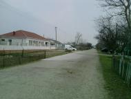 Ботанічне з panoramio.com