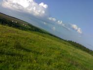Вила з panoramio.com - Vyla