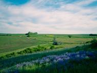 Пришиб з panoramio.com