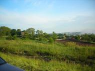 Музичі з panoramio.com