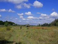 Раєво-Олександрівка з panoramio.com