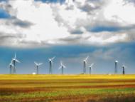 Колоски - Останні фото