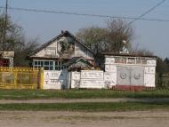 Ріпки з panoramio.com