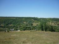 Карпівка - Останні фото