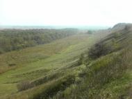 Рибці - Останні фото