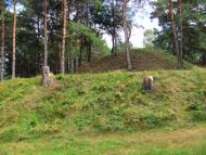 Костюхнівка з panoramio.com