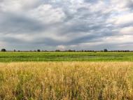 Бутівка з panoramio.com