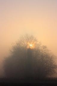 Ожидів з panoramio.com